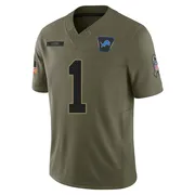 Olive Men's Jameson Williams Detroit Lions Limited 2025 Salute to Service Jersey